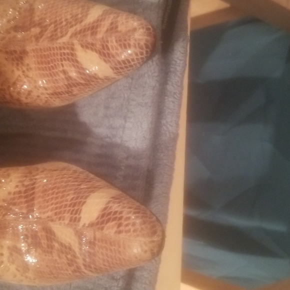 Snakeskin Boots - Picture 3 of 15